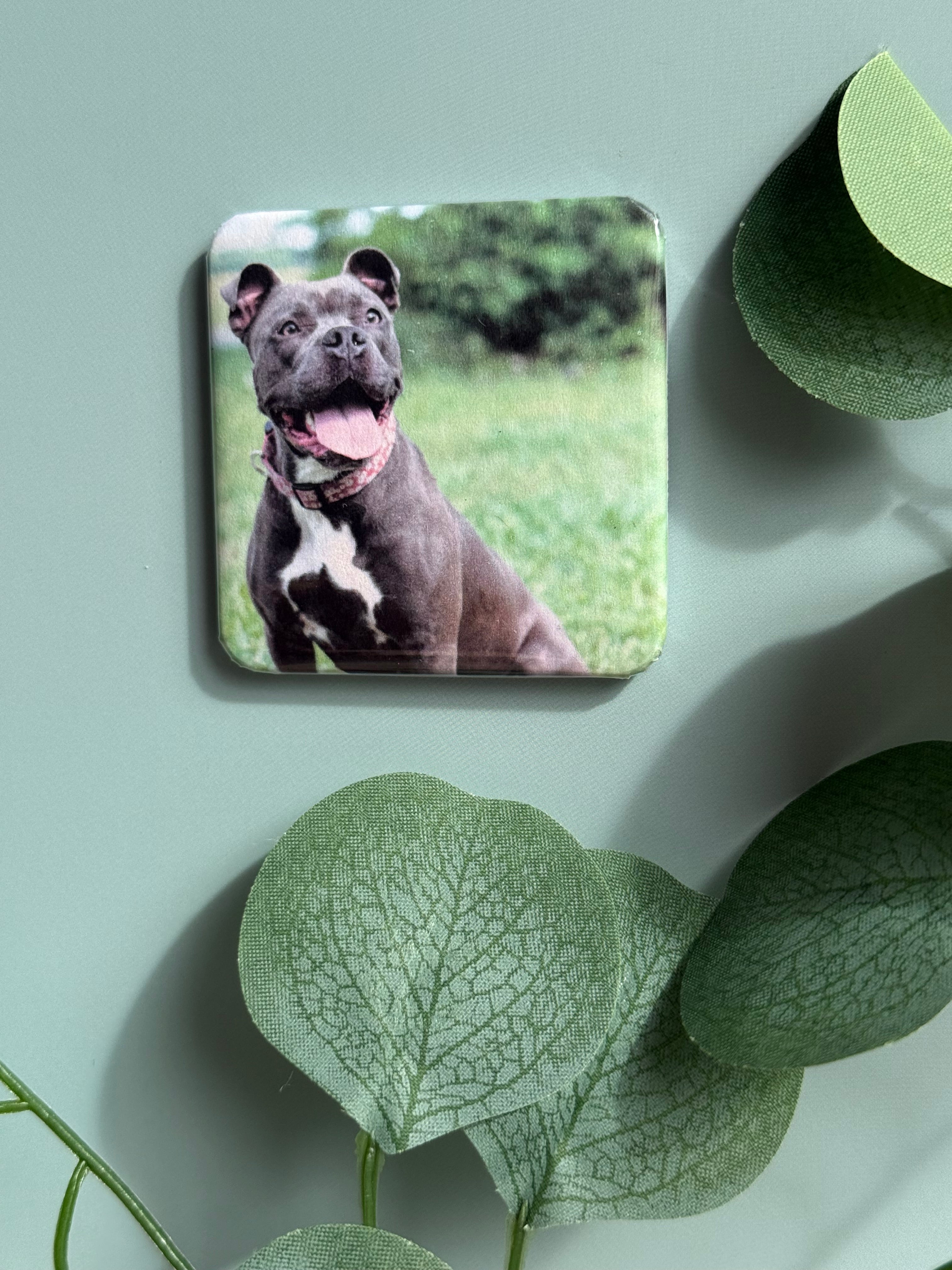 2x2 Custom Photo Magnet